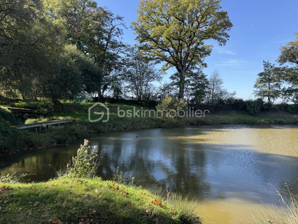 Terrain de 7 023 m²