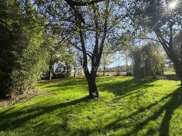 Terrain de 7 023 m²