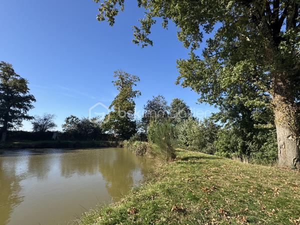 Terrain de 7 023 m²