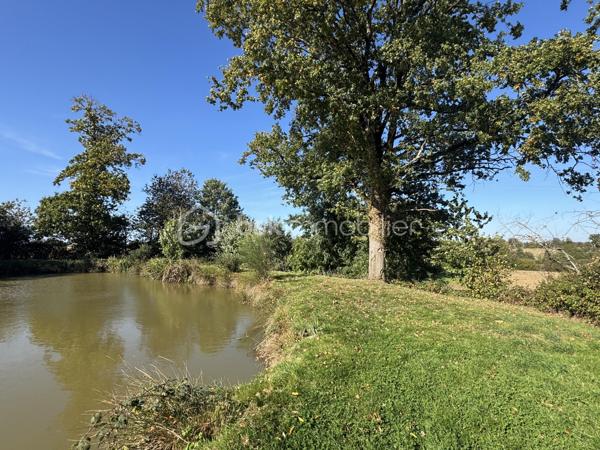 Terrain de 7 023 m²