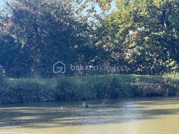 Terrain de 7 023 m²