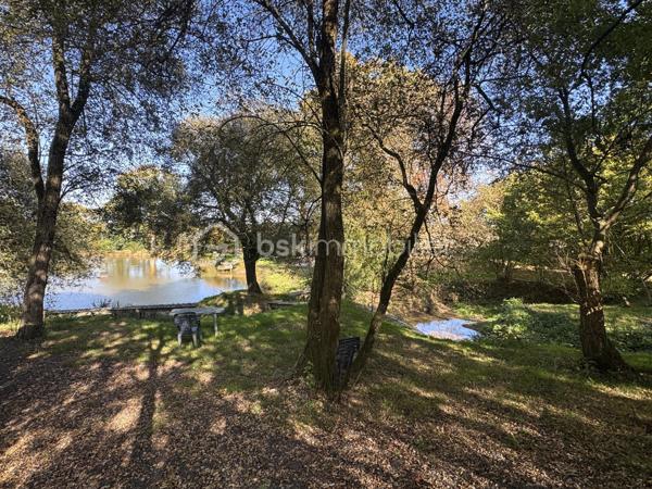 Terrain de 7 023 m²