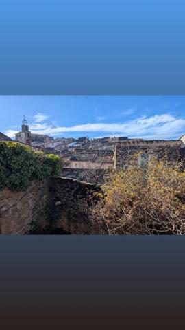 Magnifique maison de village en pierres avec trois logements, terrasse