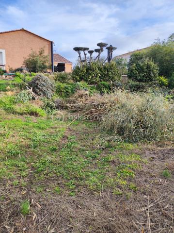 A Mèze, dans environnement calme et agréable, découvrez ce beau terrain constructible hors lotissement. Terrain plat et clos
offrant un cadre idéal pour votre futur projet de construction.
Viabilité en bordure : eau électricité tout à l'égout.
Libre de constructeur : laissez libre cours à vos envies. 
Emprise au sol de 20 %