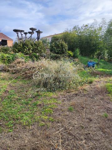 A Mèze, dans environnement calme et agréable, découvrez ce beau terrain constructible hors lotissement. Terrain plat et clos
offrant un cadre idéal pour votre futur projet de construction.
Viabilité en bordure : eau électricité tout à l'égout.
Libre de constructeur : laissez libre cours à vos envies. 
Emprise au sol de 20 %