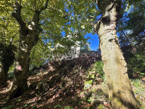 Immeuble de 1 500 m²