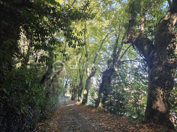 Immeuble de 1 500 m²