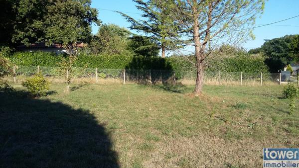 Terrain