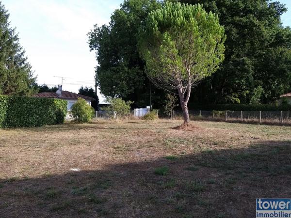 Terrain