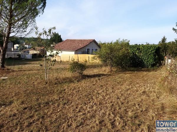 Terrain