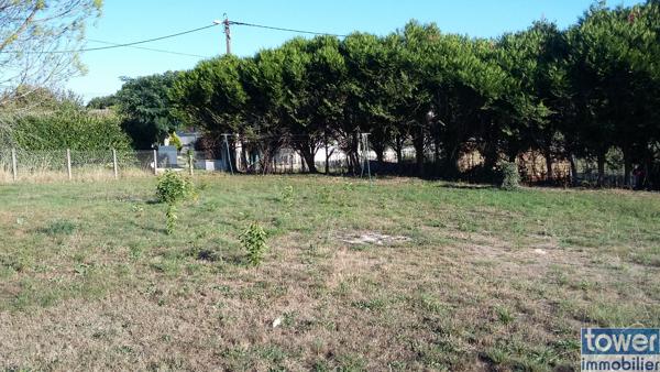 Terrain