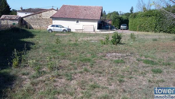 Terrain