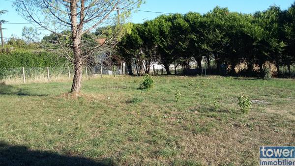 Terrain