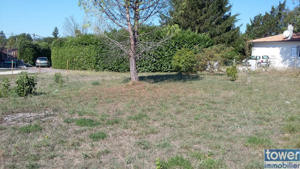 Terrain