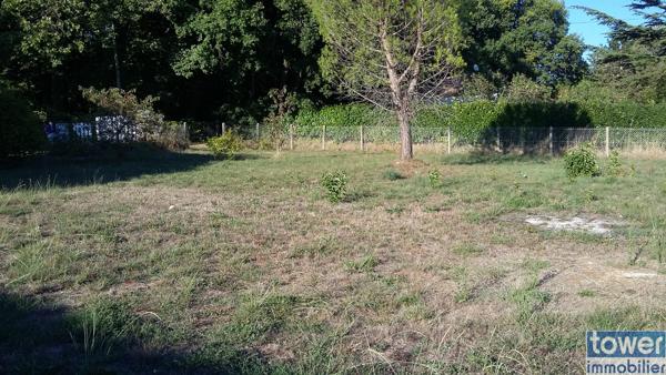 Terrain