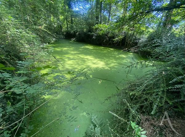 Terrain de loisirs Montreverd L'Herbergement