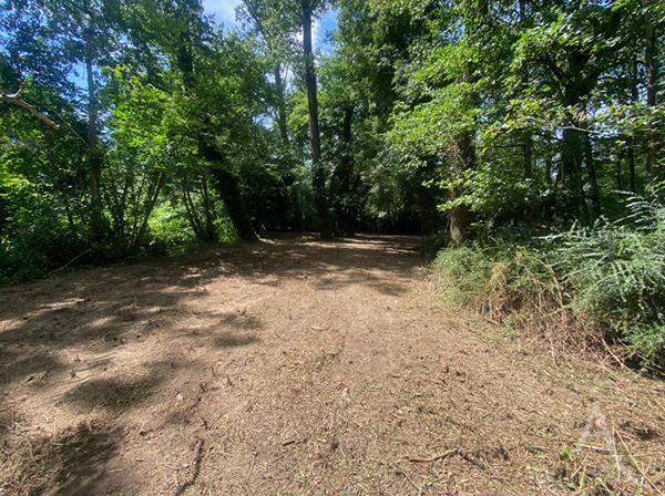 Terrain de loisirs Montreverd L'Herbergement