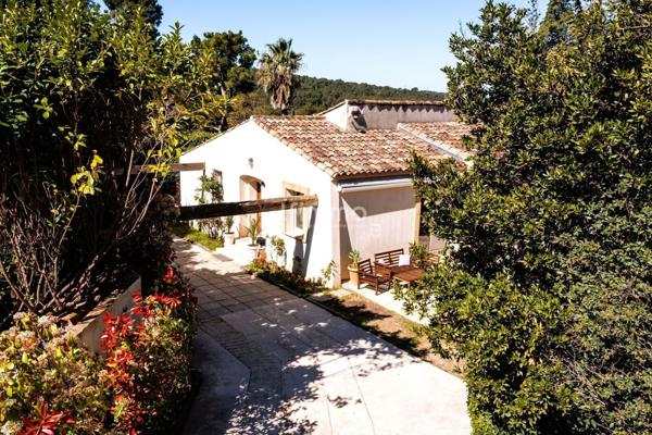 Terrain / Maison / Piscine / Pool House