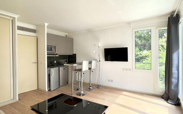 Appartement à louer    1 pièce • 24,88 m2 Issy-les-Moulineaux