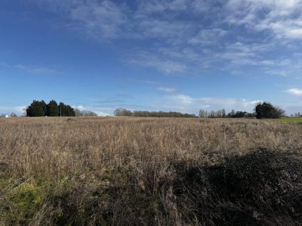 Maison charentaise Cozes 170 m²