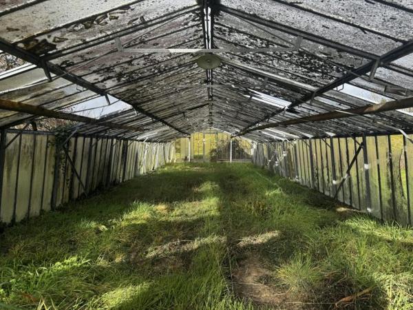 Maison charentaise Cozes 170 m²