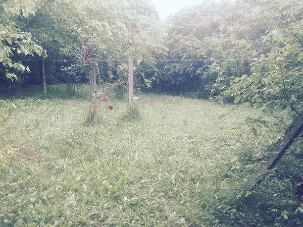 Masseube (32140) MASSEUBE 32140 BASTIDE DU XVI SIECLE AU CENTRE DU VILLAGE