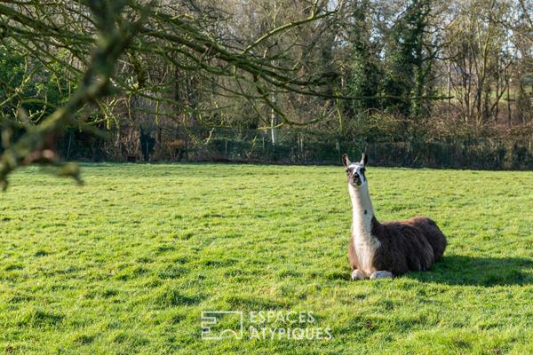 Grande maison entourée d’un parc arboré de près de 3ha