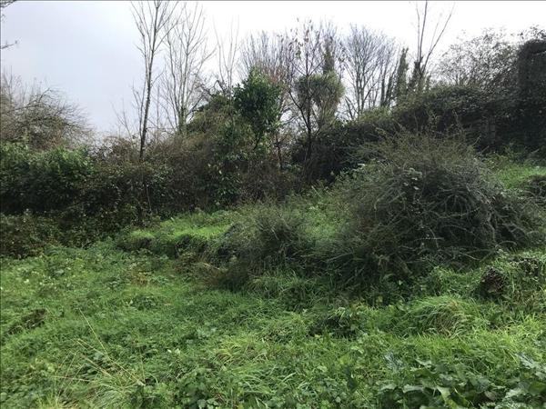 Terrain à vendre |  Brest |  1006 m²