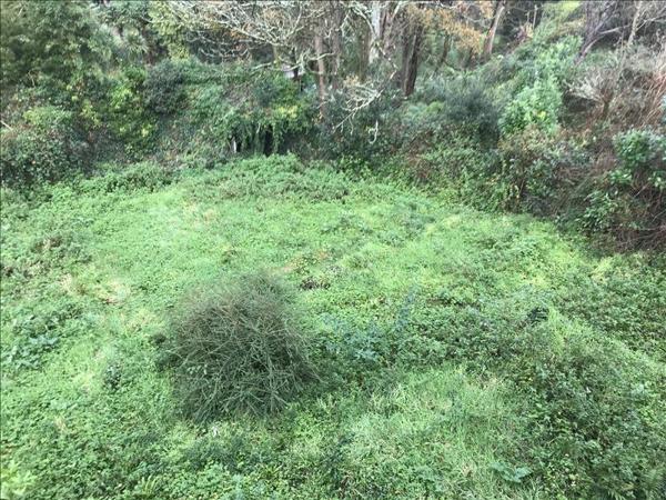 Terrain à vendre |  Brest |  1006 m²