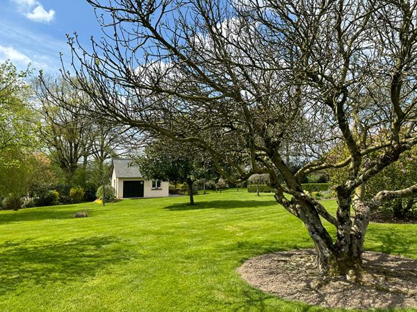 Maison en pierres Aron 146 m²