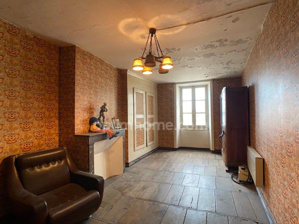 Grande maison en pierre de 227m2 centre bourg, 6 chambres.