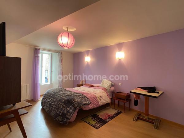 Grande maison en pierre de 227m2 centre bourg, 6 chambres.