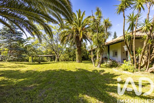 Maison à vendre 8 pièces 266,73 m² Urrugne