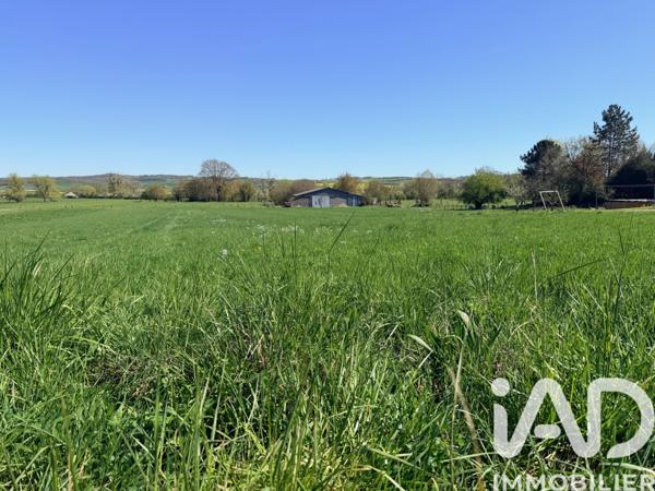 Terrain à vendre 1 175 m² Gomelange