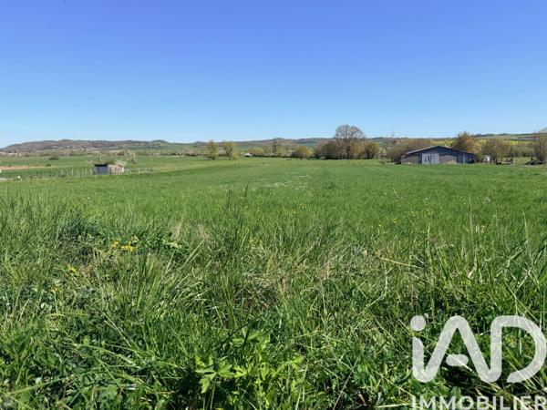 Terrain à vendre 1 175 m² Gomelange