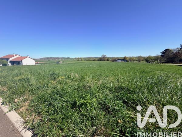 Terrain à vendre 1 175 m² Gomelange