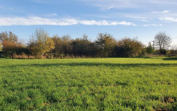 Terrain à vendre    Saint-Hilaire-la-Palud