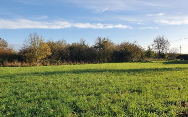 Terrain à vendre    Saint-Hilaire-la-Palud