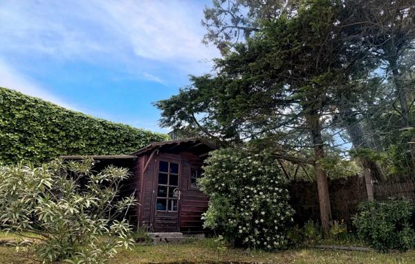 A VENDRE Tanchet- Maison lumineuse avec piscine