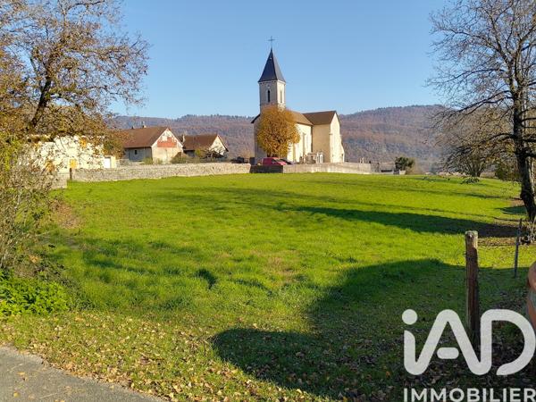 Terrain à vendre 4 057 m² Cressin-Rochefort