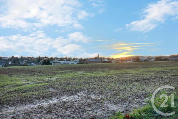 Terrain à vendre  1492 m2 MOREE - 41