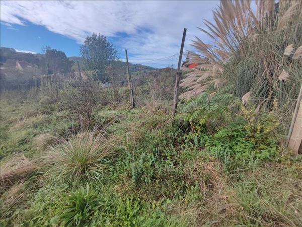 Terrain à vendre |  Cransac |  2399 m²