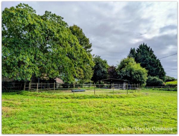 Maison récente (2022) avec dépendance et grand terrain constructible - potentiel rare à Garlin