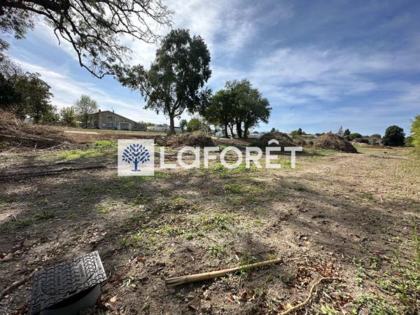 Achat terrain près de GEMOZAC - 605 m² - 52 700 €