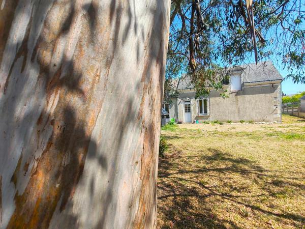 Investissement locatif : Maison de type 4 , avec jardin à 10 minutes de La Flèche !