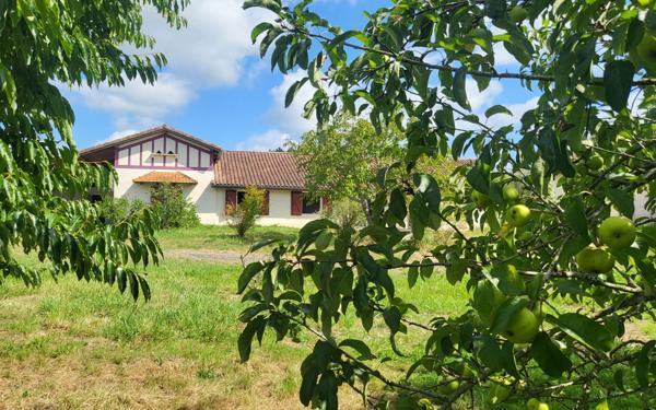 Maison à vendre    4 pièces •  Grenade-sur-l'Adour