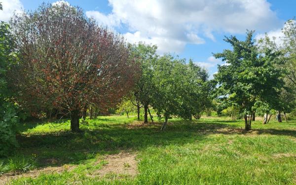 Maison à vendre    4 pièces •  Grenade-sur-l'Adour