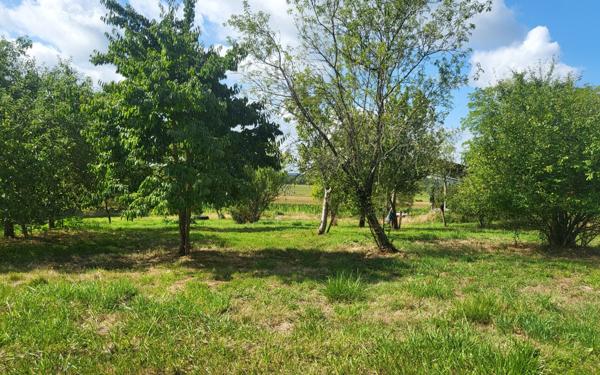 Maison à vendre    4 pièces •  Grenade-sur-l'Adour