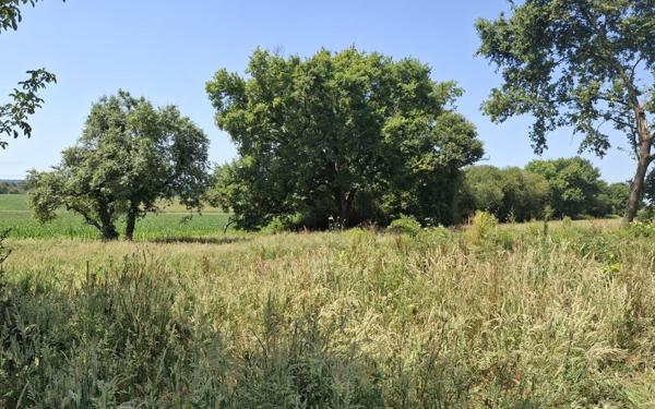 Maison à vendre    4 pièces •  Grenade-sur-l'Adour
