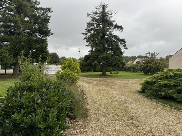 Vente Terrain551 m² - ARDON (45160)